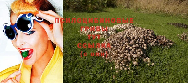 круглые Алексин
