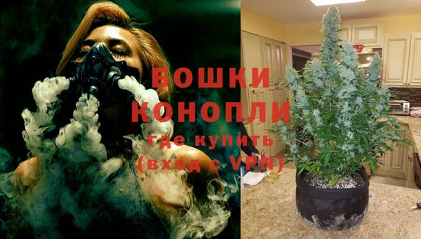 гидра Покачи