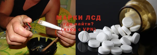 гидра Покачи