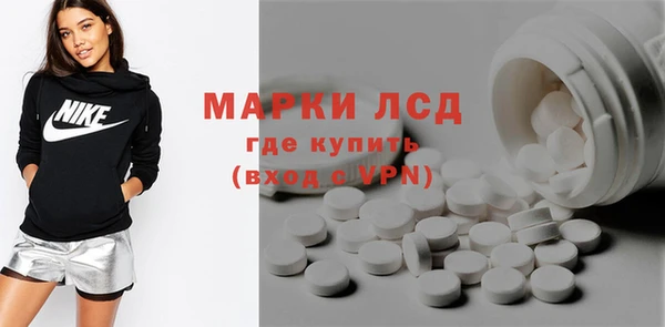 гидра Покачи