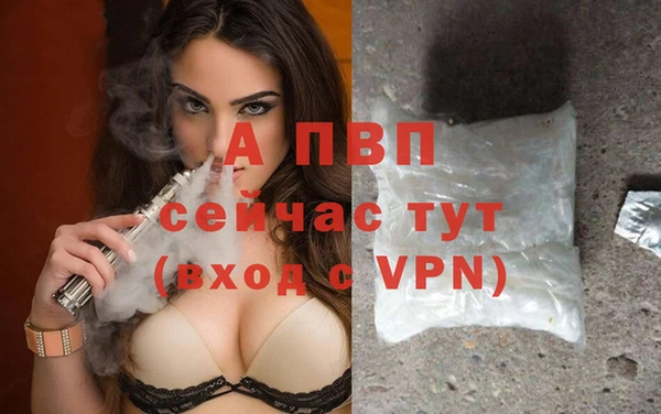 гидра Покачи