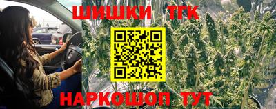 крисы Абакан
