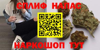 крисы Абакан