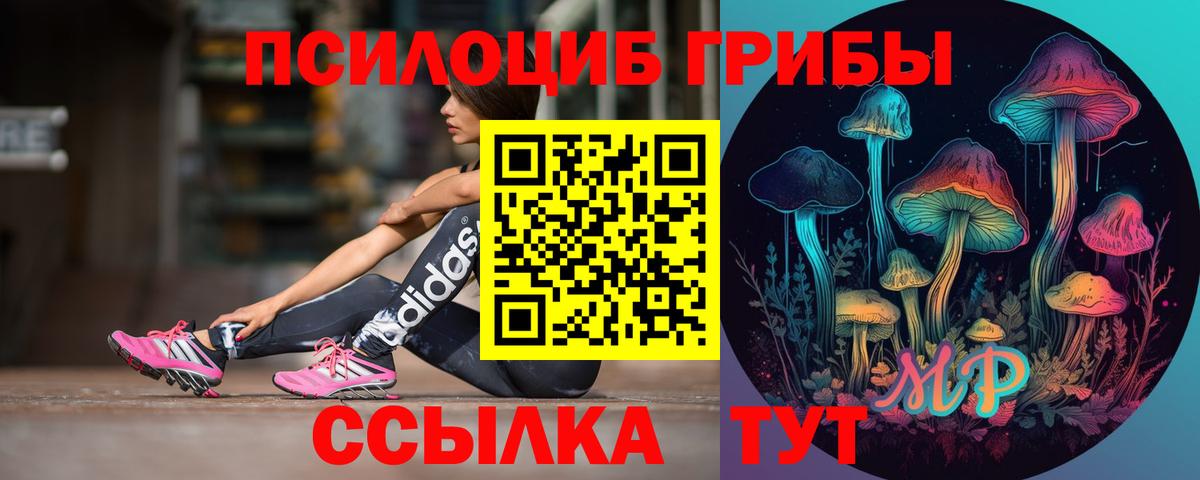 Псилоцибиновые грибы GOLDEN TEACHER Анжеро-Судженск