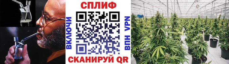 купить наркотик  Анжеро-Судженск  ОМГ ОМГ ТОР  Канабис конопля 